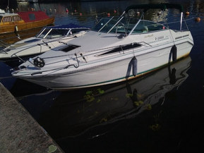 Sea Ray 220 DA