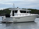 Sargo 36