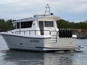 Sargo 
