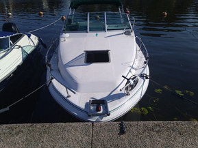 Sea Ray 220 DA