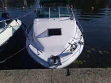 Sea Ray 220 Sundancer