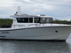 Sargo 36