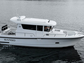 Sargo 31