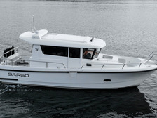Sargo 31
