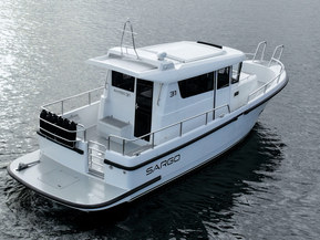 Sargo 31