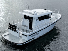 Sargo 31