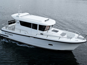 Sargo 31