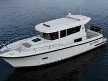 Sargo 31