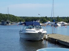Sea Ray 275 Amberjack