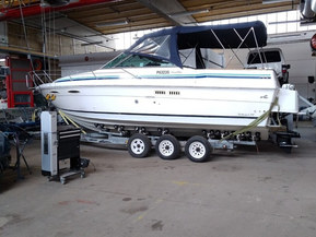 Sea Ray 275 Amberjack