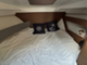Jeanneau Merry Fisher 795