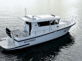 Sargo 31