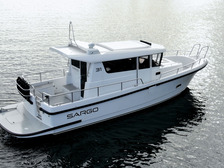 Sargo 31