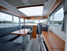 Sargo 31