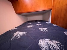 Tristan 315 Flybridge