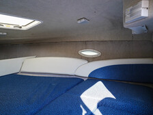 Bayliner 