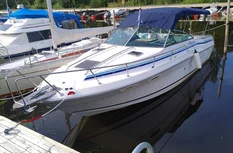 Sea Ray