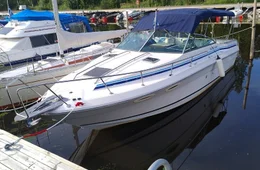 Sea Ray