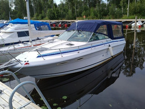 Sea Ray 275 Amberjack