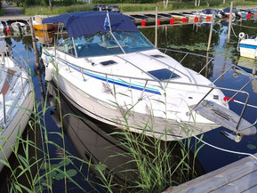 Sea Ray 275 Amberjack