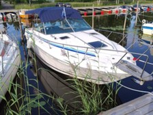 Sea Ray 275 Amberjack