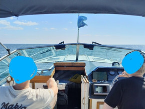 Sea Ray 275 Amberjack