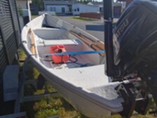 Suvi 495