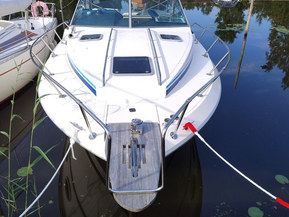 Sea Ray 275 Amberjack