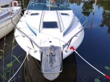 Sea Ray 275 Amberjack