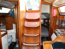 Guyline 3800