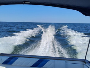 Sea Ray 275 Amberjack