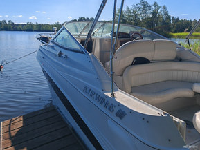 Four Winns 245 Vista