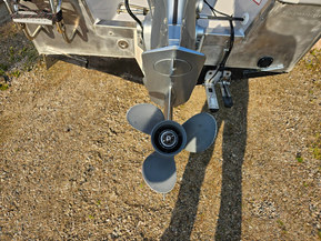 Silver Wolf Avant 510