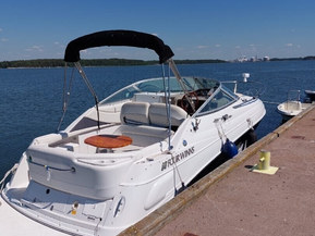 Four Winns 245 Vista