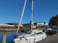Maxi Fenix