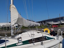 Maxi Fenix