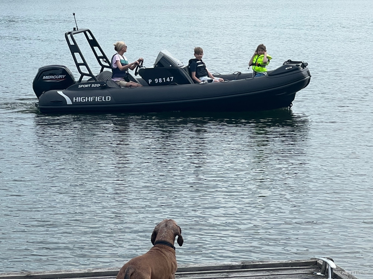 Highfield Rib boats 2022 Raasepori - Nettivene