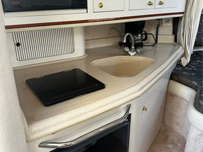 Sea Ray 290 Amberjack