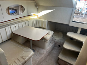 Sea Ray 290 Amberjack