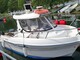 Quicksilver 580 Pilothouse