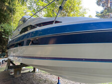 Bayliner 2455 Ciera