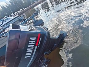 RaisSport 470