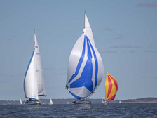 Finngulf 36