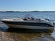 AMT 170 BR 170BRs