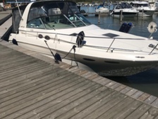 Sea Ray 310 Sundancer