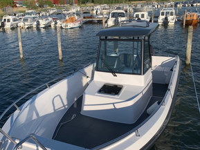 Omavalmiste Muu malli