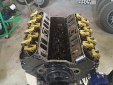 Wellcraft Scarab