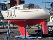 Albin 79