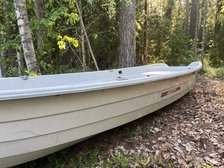Suvi 444