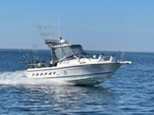 Bayliner Muu malli
